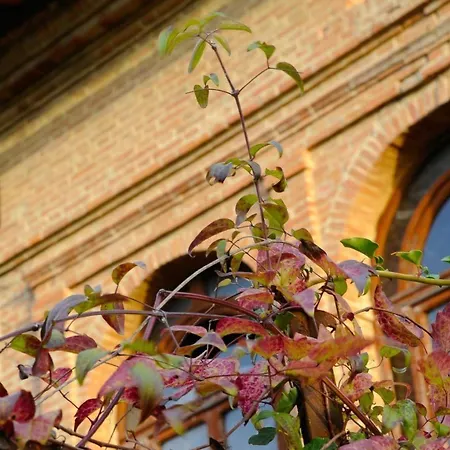 Armena Relais Country house Buonconvento