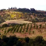 Szálloda Armena Siena