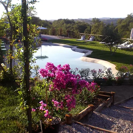 Armena Hotel 5*